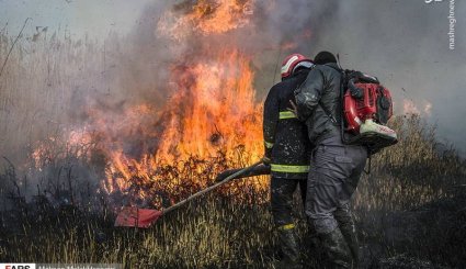 مهار آتش‌سوزی تالاب میقان