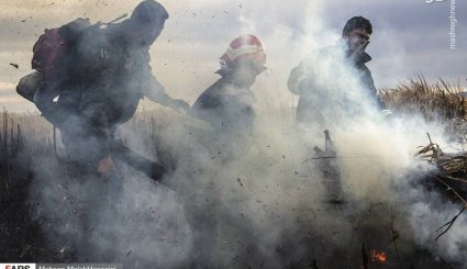 مهار آتش‌سوزی تالاب میقان