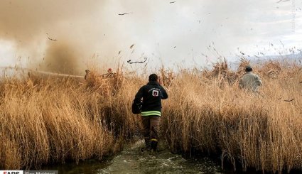 مهار آتش‌سوزی تالاب میقان