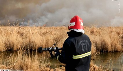 مهار آتش‌سوزی تالاب میقان