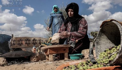 تصاویر/ زندگی روزمره در فلسطین اشغالی