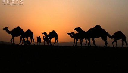 تصاویر/ زندگی روزمره در فلسطین اشغالی