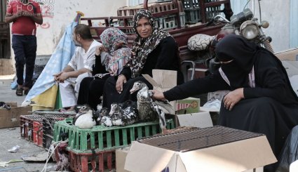 تصاویر/ زندگی روزمره در فلسطین اشغالی