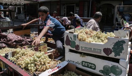 تصاویر/ زندگی روزمره در فلسطین اشغالی