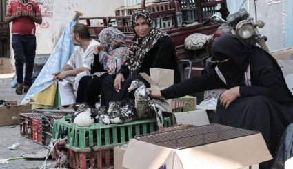 زندگی روزمره در فلسطین اشغالی