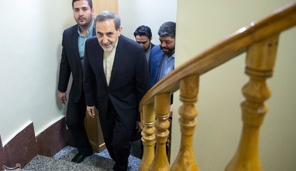 تصاویر/ نشست خبری علی اکبر ولایتی
