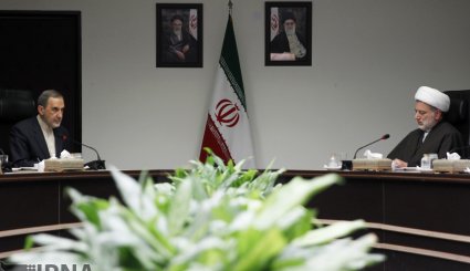 تصاویر/ دیدار رییس مجلس اعلای اسلامی عراق با ولایتی
