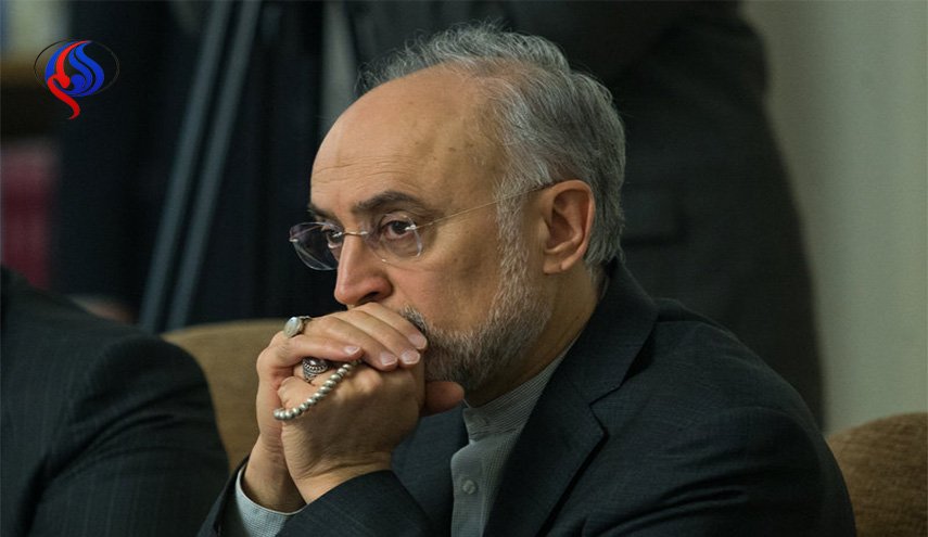 صالحی: جلسه هیات نظارت بر برجام عصر امروز در محل شورایعالی امنیت ملی برگزار می‌شود/ در گردنه ترامپیسم قرار داریم