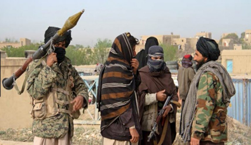 ده‌ها عضو طالبان در حمله هوایی کشته شدند

