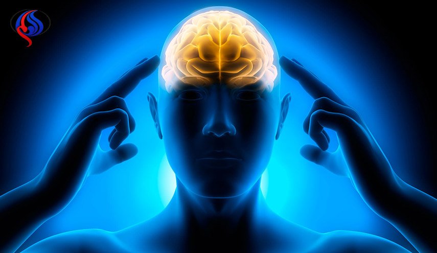 یک آزمایش ساده برای ارزیابی قدرت بینایی و تمرکز شما +عکس