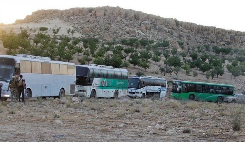 صدها تن  ازعناصر وابسته به گردانهاي اهل الشام  از لبنان وارد سوريه شدند