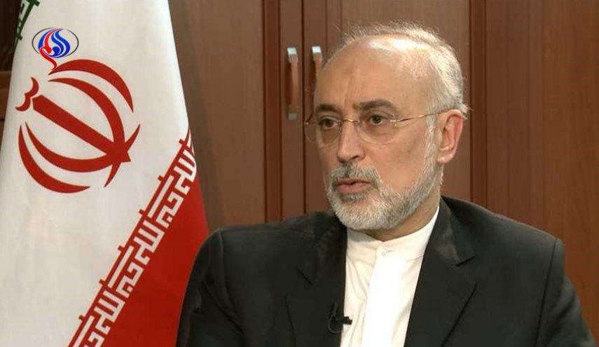 صالحی: تصمیم‌گیری درباره تحریم‌های آمریکا با هیئت نظارت بر برجام است