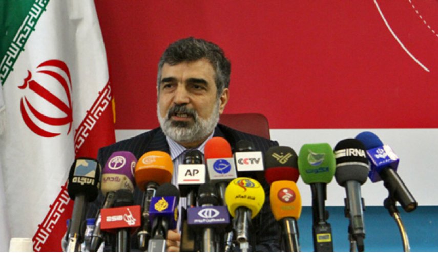 کمالوندی: رسانه آمریکایی، سخنان آمانو را تحریف کرد

