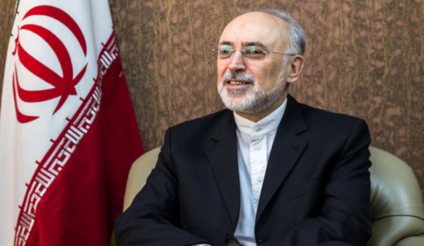 صالحی: آمریکا برود، با اروپا در برجام می‌مانیم

