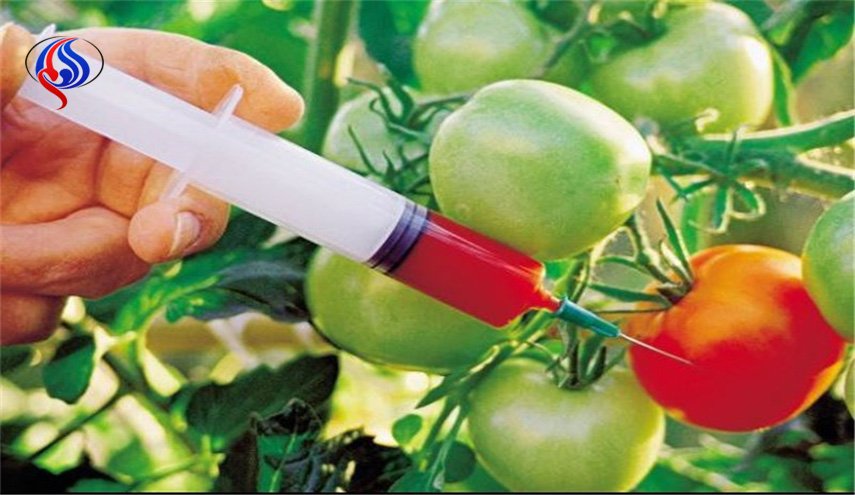 اما و اگرهای محصولات تراریخته