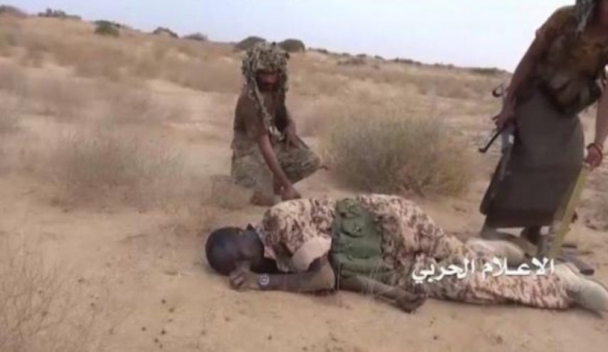 هلاکت شانزده مزدور عربستان به دست تک تیراندازهای یمنی

