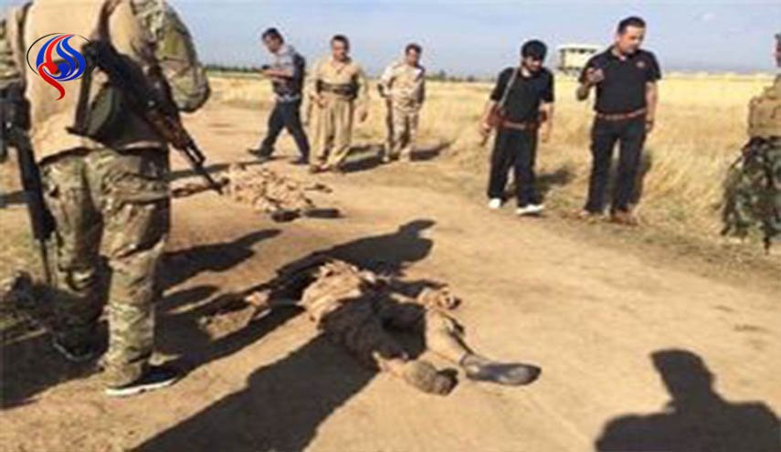 هلاکت ده ها مزدور سعودی درغرب تعز
