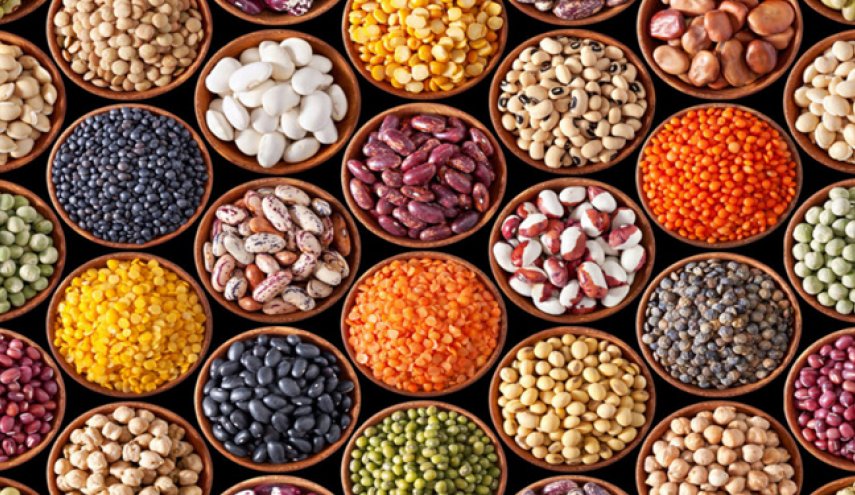 همکاری اتحاديه اروپا و فائو برای جلوگيری از اسراف!

