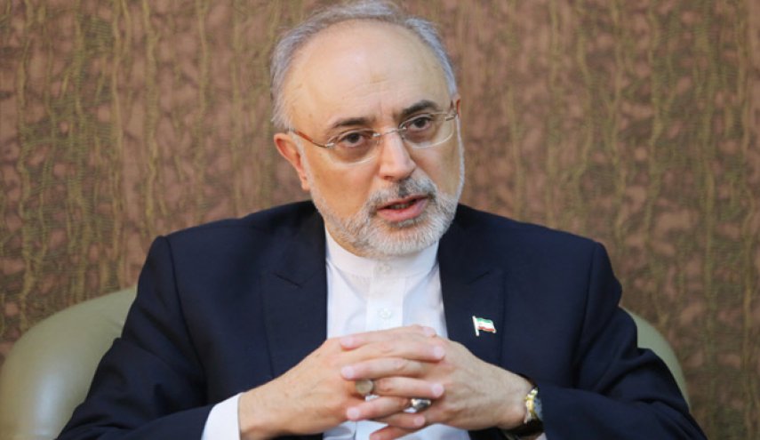 صالحی: اروپايی‌ها از واكنش ايران به نقض برجام بسيار نگرانند

