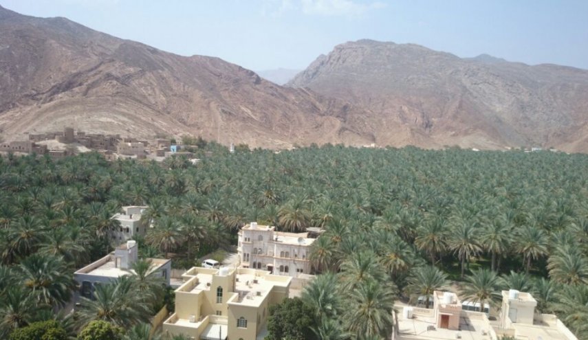 بركة الموز في نزوي في سلطنة عمان 