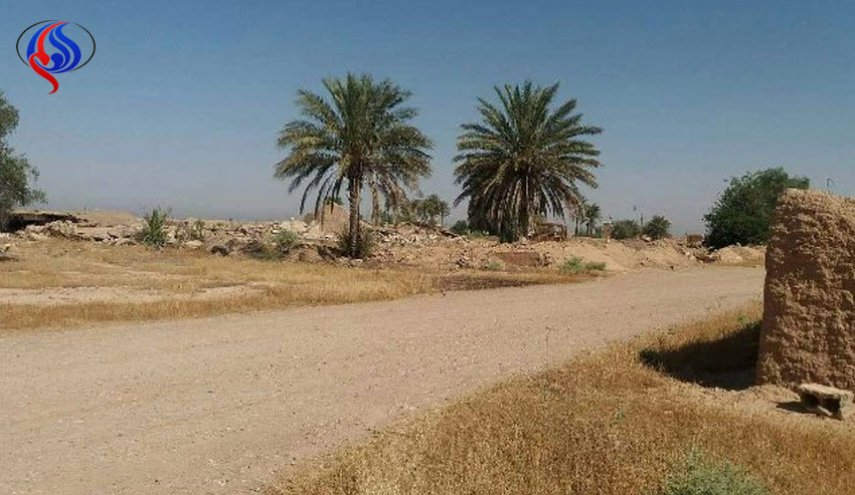 بالصور.. 