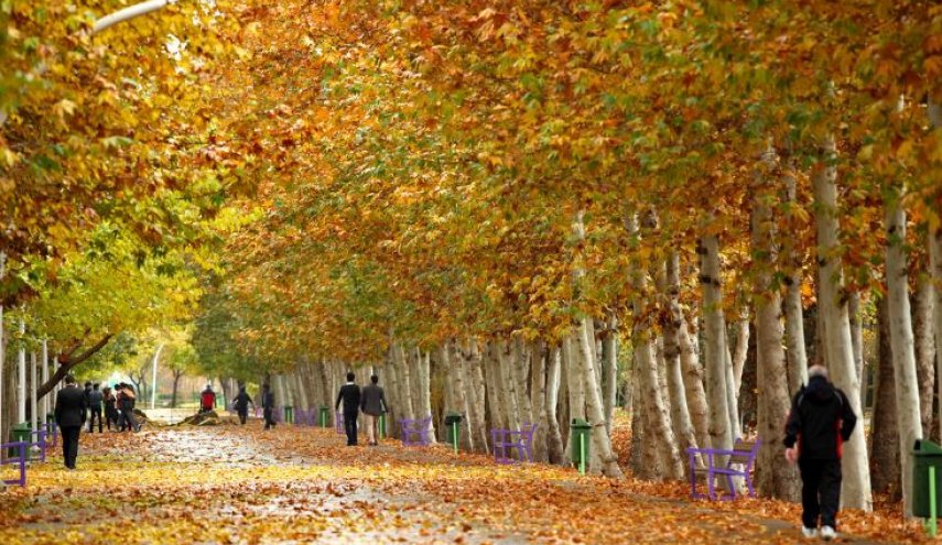 چرا باید در فصل پاییز پیاده روی کرد؟