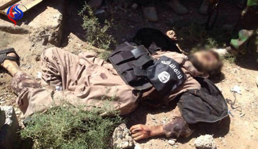 مسئول واحد عناصر انتحاری داعش در الانبار کشته شد