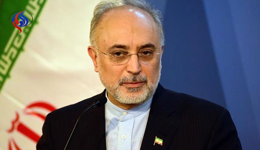 صالحی: نیروگاه های بوشهر نماد همکاری راهبردی ایران و روسیه است