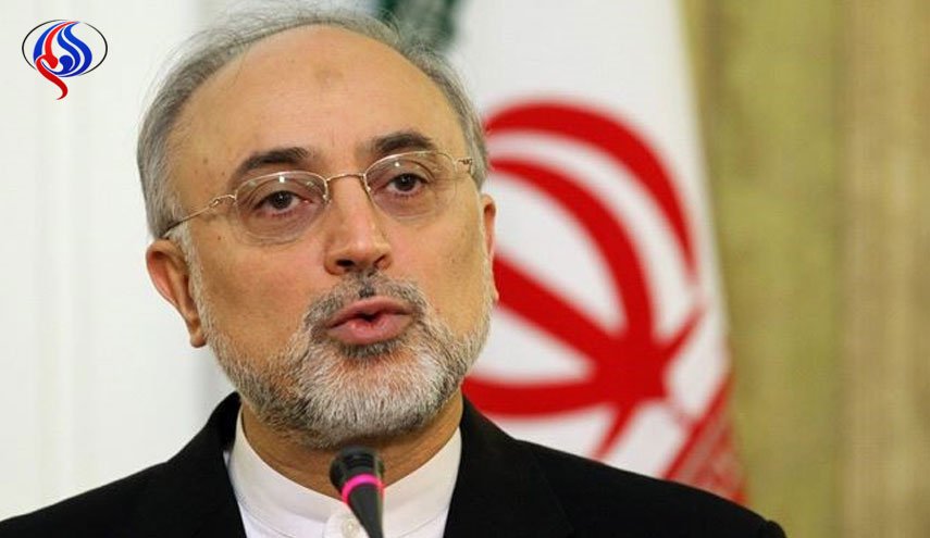 صالحی: آمریکا تلاش می‌کند با هزینه ایران برجام را عقیم کند