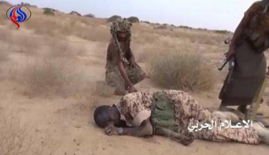 هلاکت تعدادی از مزدوران سعودی در حمله نیروهای یمنی در تعز