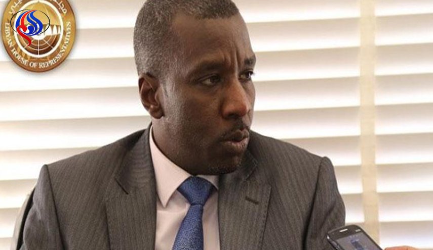 مقرر مجلس النواب الليبي: لا بديل عن خطة غسان سلامة