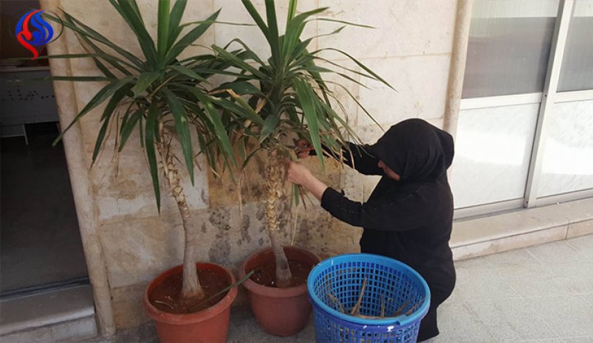 غرامة خيالية في سوريا لكل من استقدم أو شغل عاملات من دون ترخيص