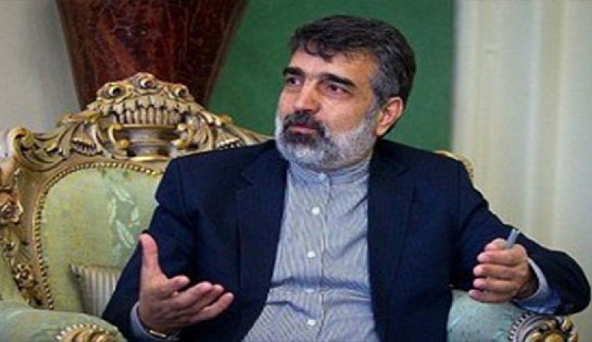 کمالوندی: توقف فروش آب سنگین ایران، خبرسازی است