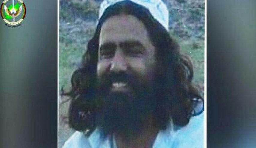 سرکرده ارشد القاعده در افغانستان به هلاکت رسید