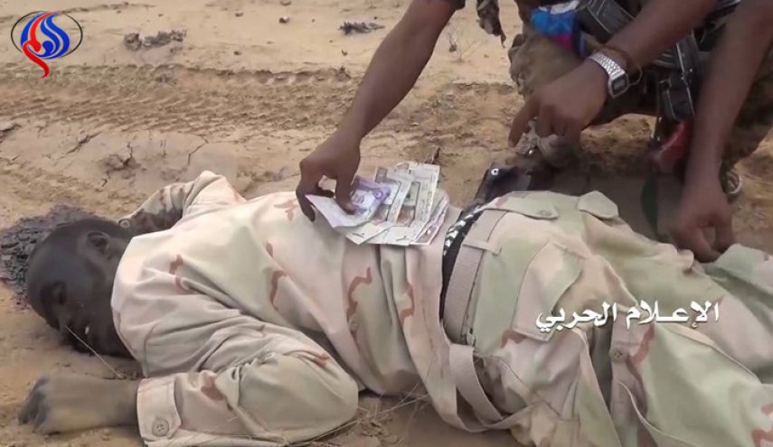 تلفات سنگین مزدوران سعودی در شبوه و الجوف