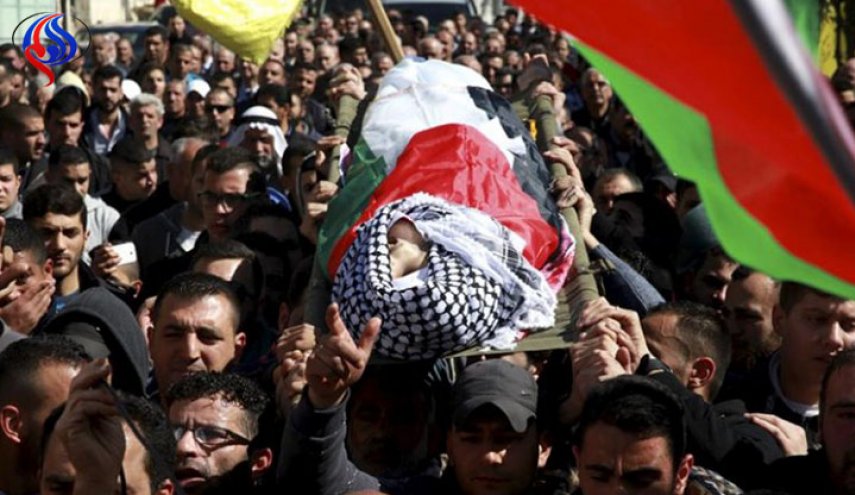 «ترامب» يقتل 11 فلسطينياً ويصيب 3 آلاف آخرين!