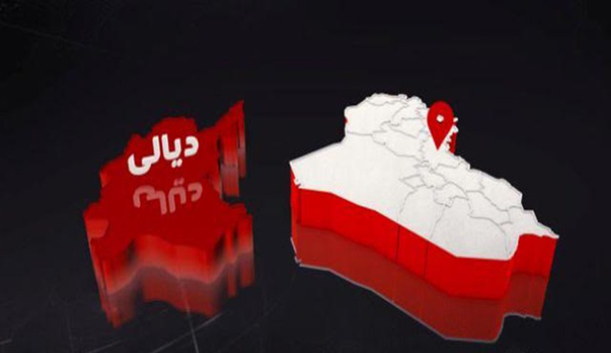 من إبادة الكلاب إلى زراعة المخدرات.. فتاوى داعش في المطيبيجة  
