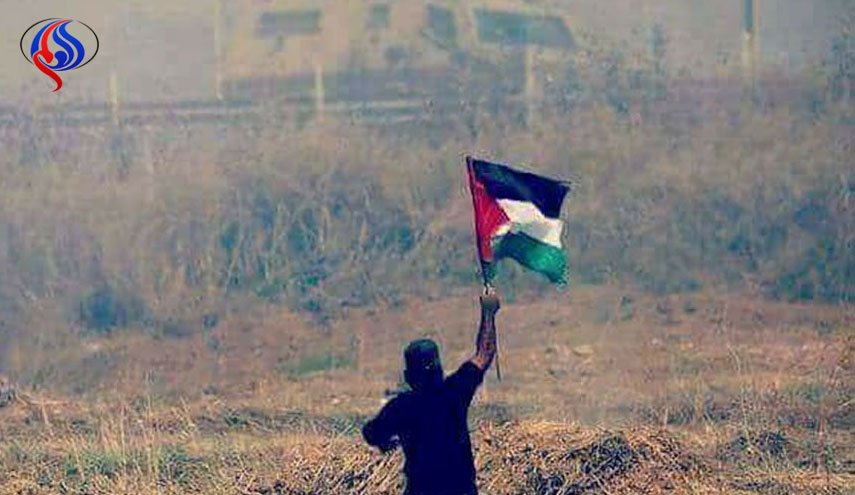 حقوق الانسان: الاحتلال تعمد إعدام المقعد أبو ثريا