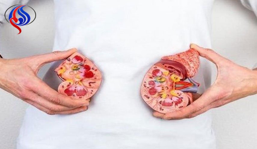 تعرف على أعراض الإصابة بحصوات الكلى وأسبابها
