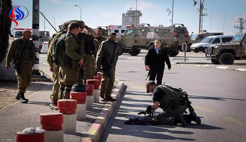 كيان الاحتلال أعدم 201 فلسطيني ميدانيا
