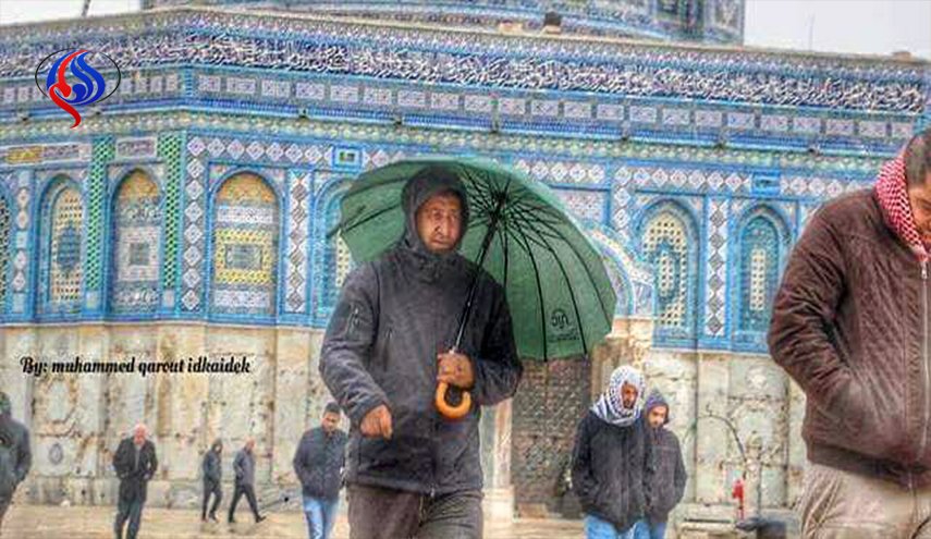 بالصورة.. هل زار حسين مرتضى القدس المحتلة؟