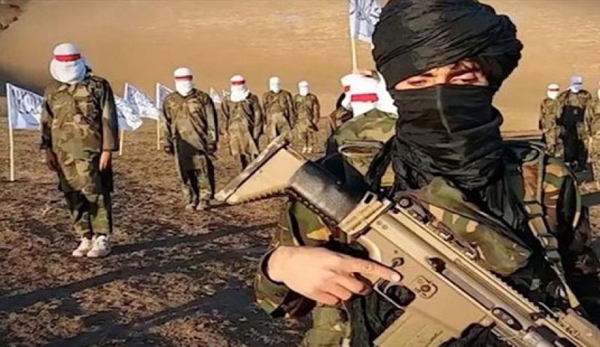 طالبان:آمریکا را مجبور به‌خروج از افغانستان می‌کنیم