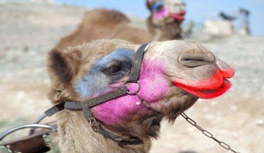 السعودية: حرمان 