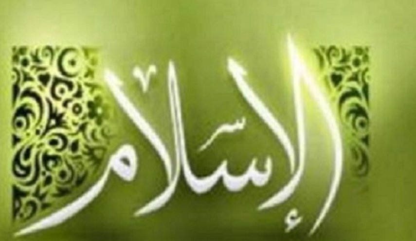 سیاستمدار آلمانی در پی مسلمان شدن از حزب اسلام‌ستیز کناره‌گیری کرد