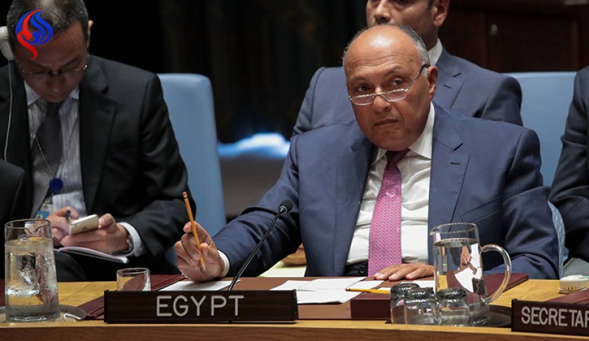 شكري يكشف سبب دعم مصر لـ 