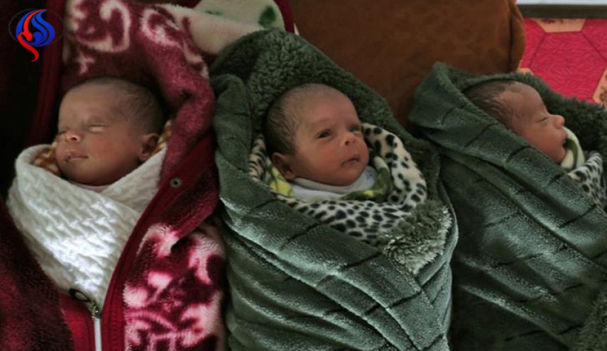 القدس عاصمة فلسطين... ثلاثة توائم في غزة