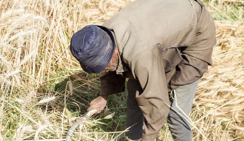 مصر ترشد استهلاك المياه بـ900 مليار جنية
