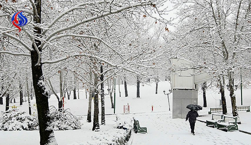 برف و باران تهران را فرا گرفت