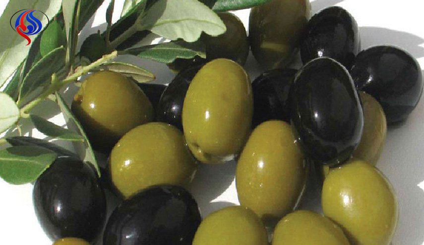 فوائد صحية مذهلة للزيتون, وما الفرق بين الأسود والأخضر؟