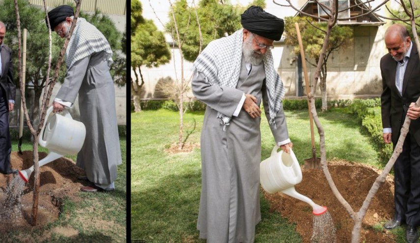 رهبر انقلاب امسال چه درختانی کاشتند؟